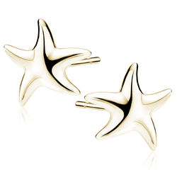 Stříbrné náušnice HVĚZDICE GOLD 9860