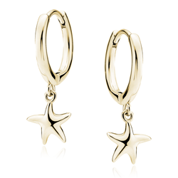 Stříbrné kruhové náušnice HVĚZDICE GOLD 9858