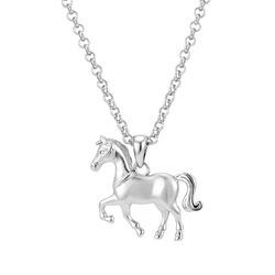 Stříbrný náhrdelník KŮŇ 9645