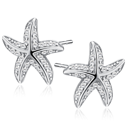 Stříbrné náušnice HVĚZDICE 9861